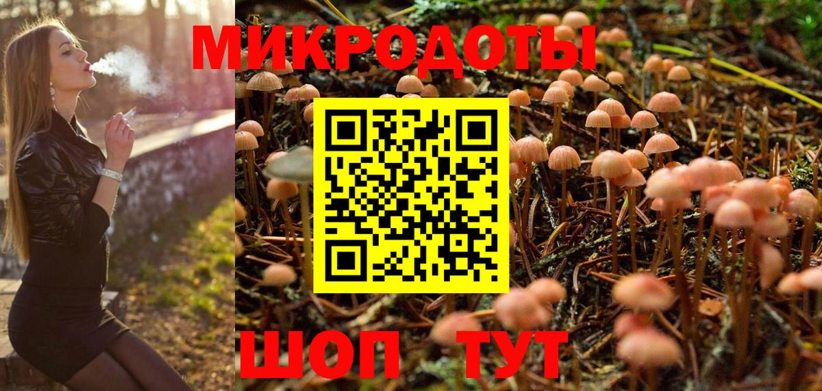 Псилоцибиновые грибы Psilocybe Северск
