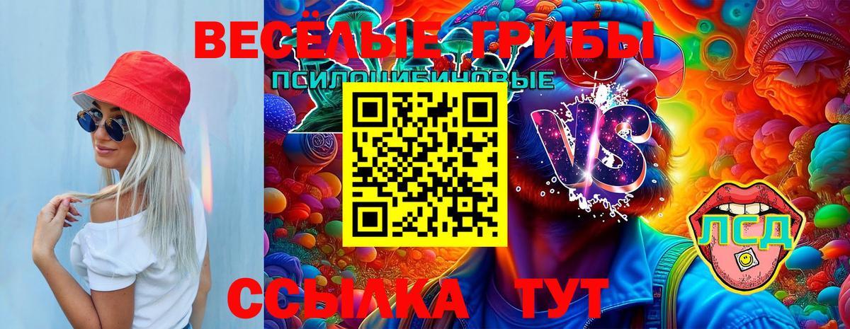 Северск  Галлюциногенные грибы ЛСД  Вход с VPN 